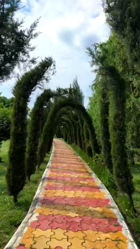 Beautiful Nature image