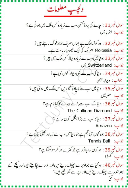 Knowledge Test image