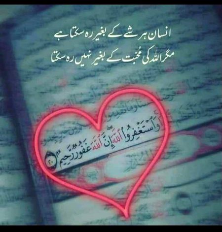 Islamic Quotes image