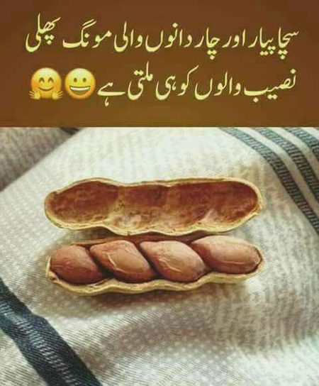 Memes & Satire image