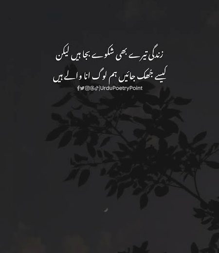 hum hyn hi annaaa waly ❣️❣️❣️