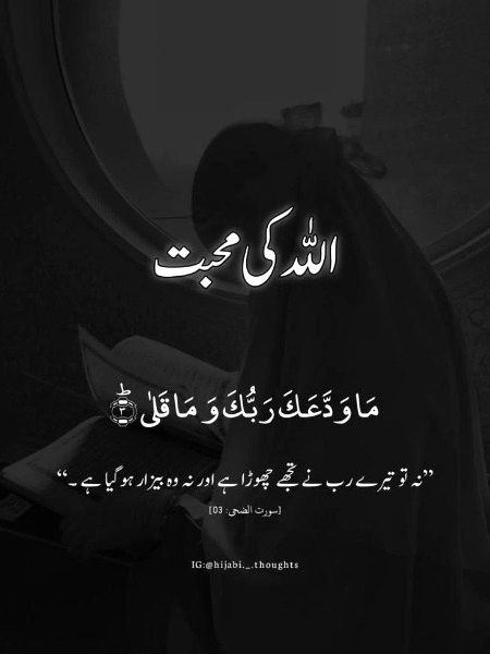 Islamic Quotes image