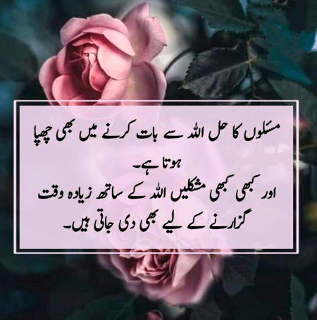 Islamic Quotes image