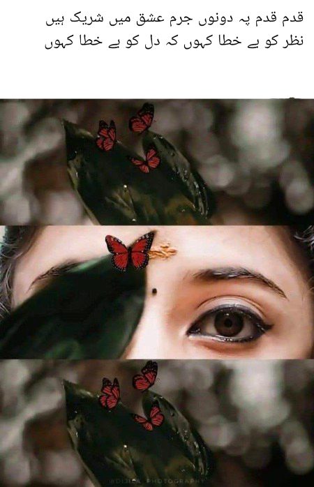 Romantic Poetry image