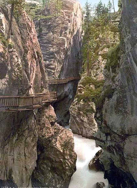 Beautiful Nature image
