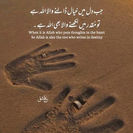 🌹🌹 Beshak 🌹🌹
🌹 merijan-16 🌹