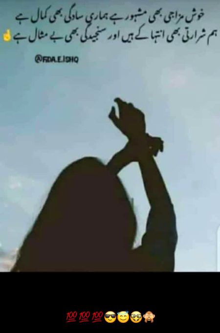 Attitude Quotes image