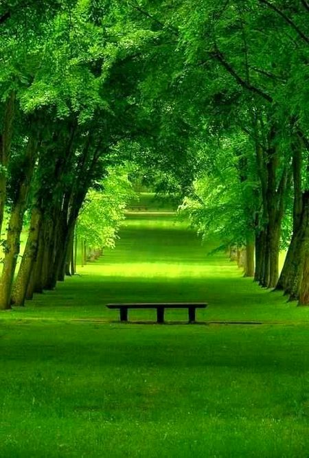 Beautiful Nature image