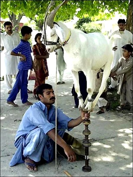 Beautiful Nature image