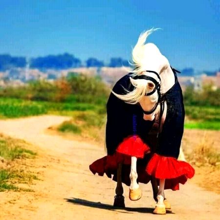 MashAllah  bht  Cute ❤👍👌