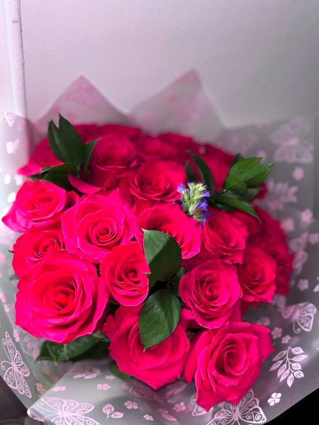 Beautiful Nature image