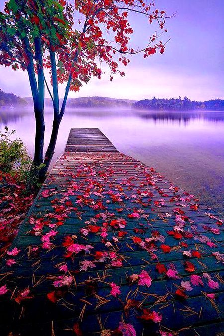 Beautiful Nature image
