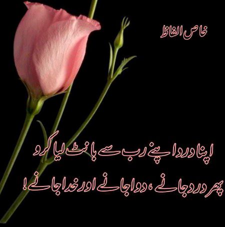 🥀🥀 Beshak 🥀🥀
saanaam ❣️❣️