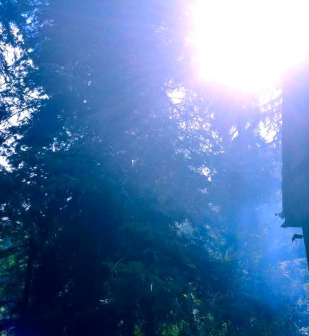 Beautiful Nature image