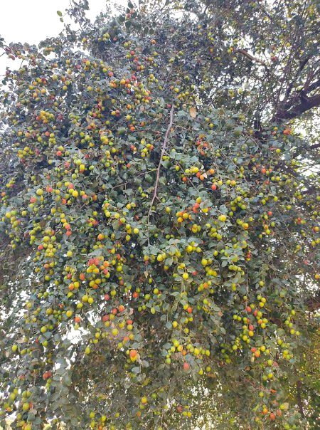 Beautiful Nature image