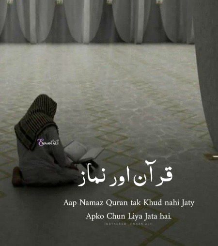Beshak
