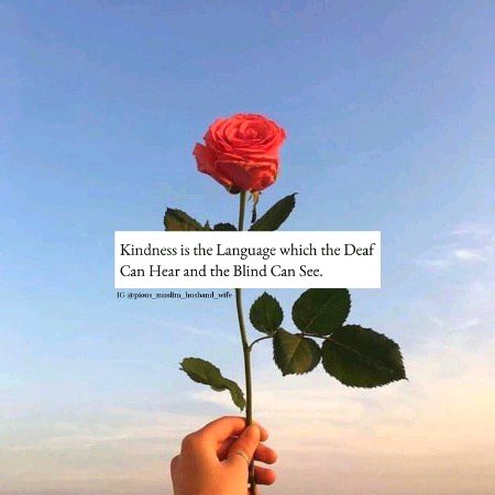 Life Advice image