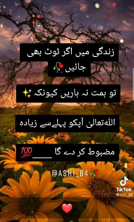 🍁❤️🍁❤️🍁❤️ Bushi 🍁❤️🍁❤️🍁❤️