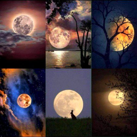 Moon photography🌕🌙📸