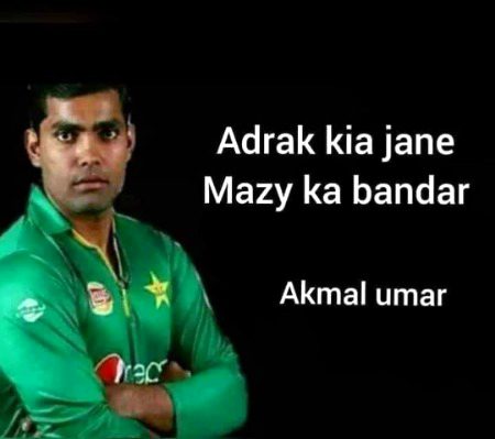 Memes & Satire image