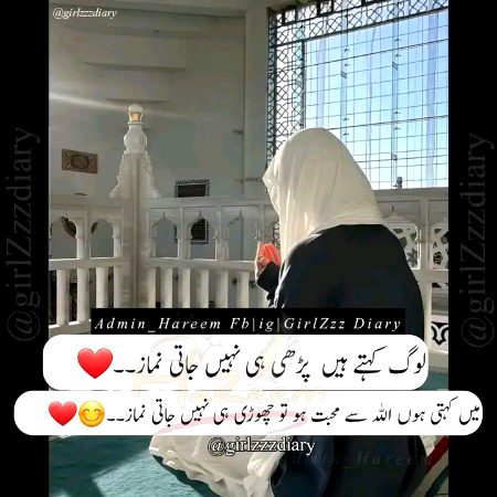 Attitude Quotes image