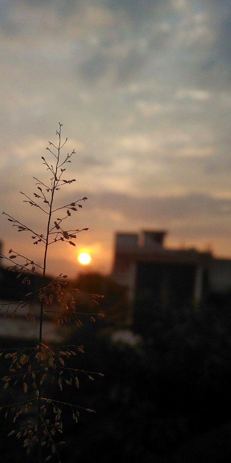 Beautiful Nature image