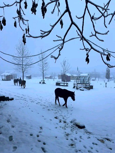 Beautiful Nature image