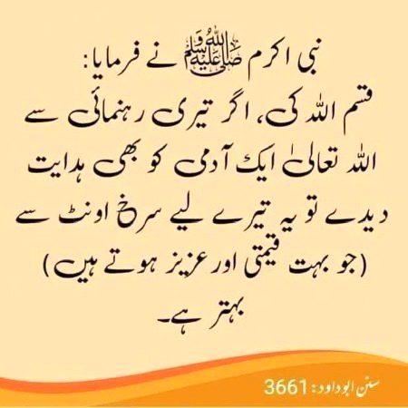 Islamic Quotes image