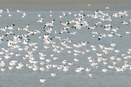 Beautiful Nature image