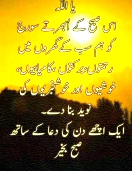 Assalam o Alaikum 🌹🇵🇰
