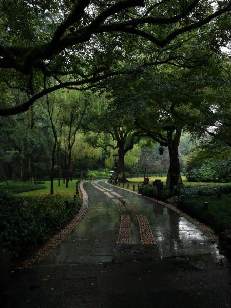 Beautiful Nature image
