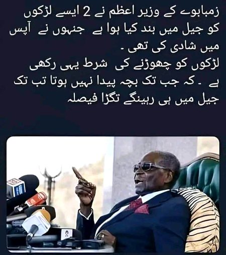 Memes & Satire image