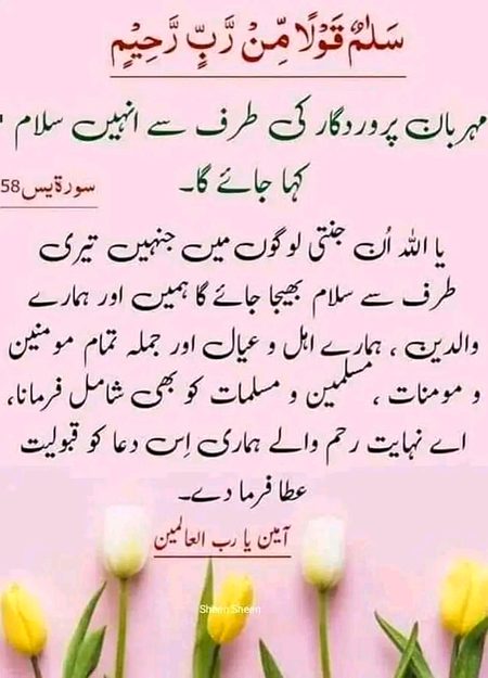 Islamic Quotes image