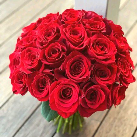 Beautiful Nature image