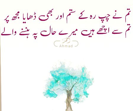 دوست بن بن کے ملے مجھ کو مٹانے والے۔۔۔۔۔   
میں نے دیکھے ہیں کئی رنگ بدلنے والے