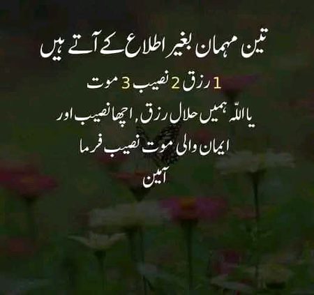 Islamic Quotes image