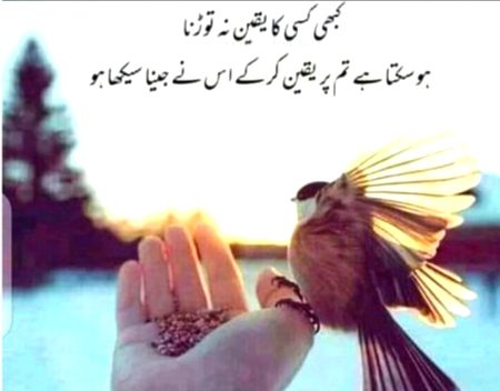Bilkul suchi bat
