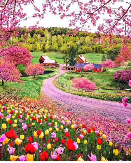 Beautiful Nature image