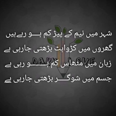 💜🧡🖤💜🧡🖤💜🧡