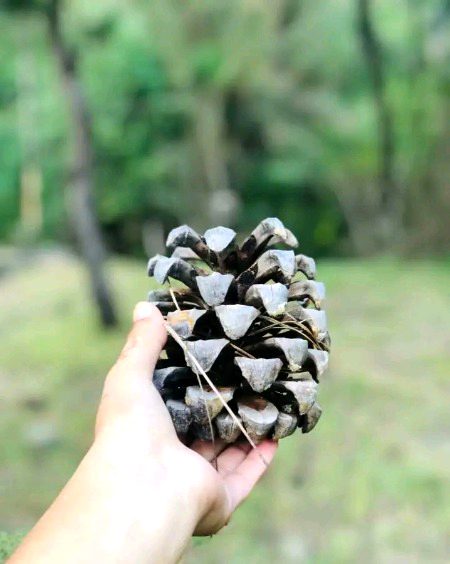 Beautiful Nature image