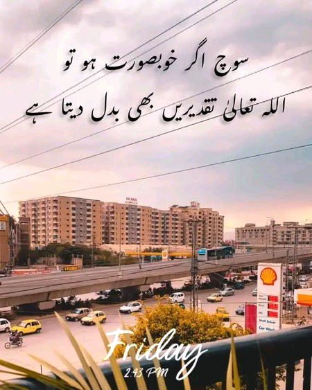 true lines