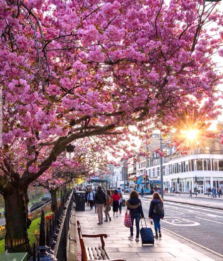 Beautiful Nature image