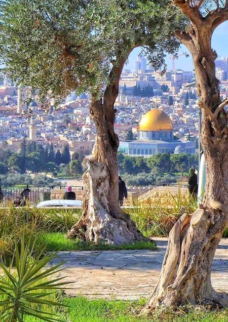 Beautiful Nature image