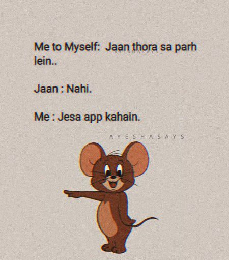 Memes & Satire image