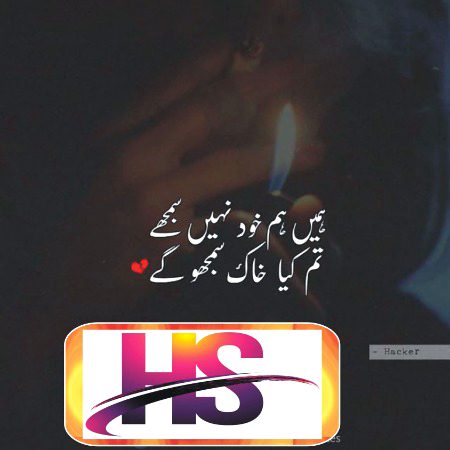 دکھ تو یہ ہے کہ اِک بھی گواہی نہ مل سکی 
حالانکہ اِک ہجوم میں مارا گیا مجھے