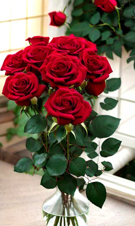 Beautiful Nature image