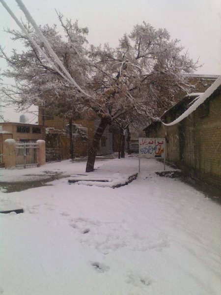 QueetaBalochistan Old Pic Of Snowfall 15 January 2019 tha Oracle institute 🥺🤬