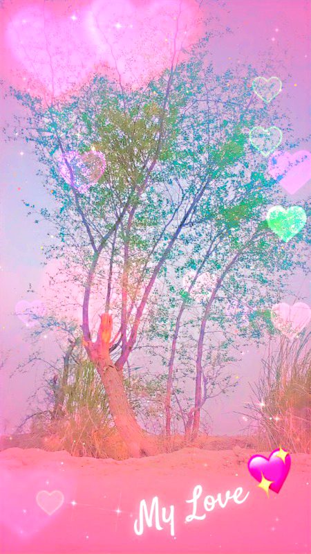 Colour full tree
