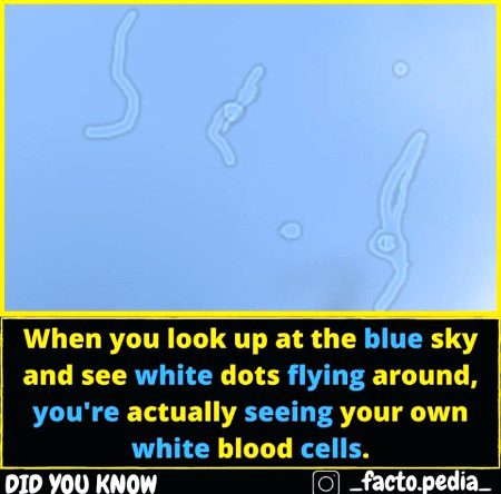 Interesting Posts image