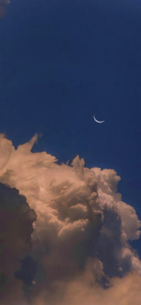 Beautiful Nature image